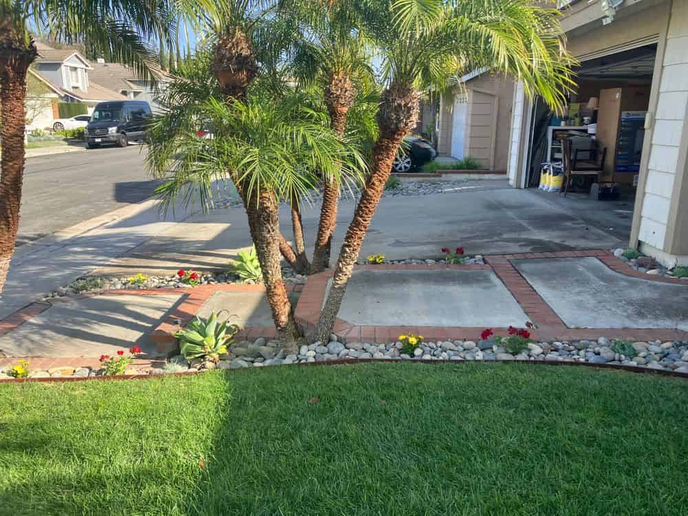 Tree Care Services image