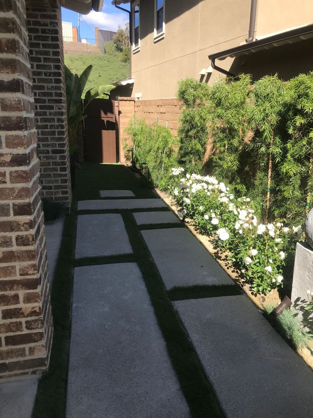 Garden pathway with concrete slabs and white flowers alongside a green hedge.