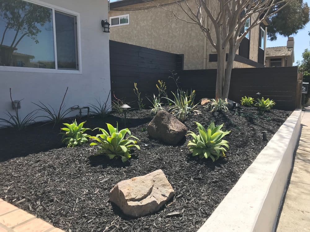 Modern landscape design featuring rock garden and drought-resistant plants with black mulch.