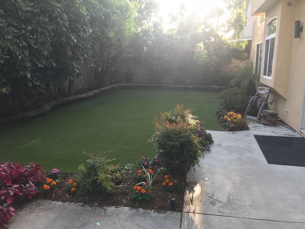 Lush green lawn surrounded by colorful flowers in a sunny backyard garden.